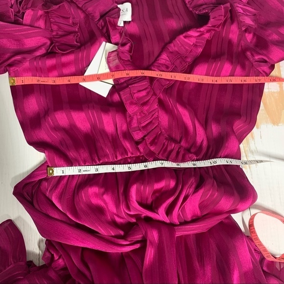 Misa  Gabriela Fuschia Striped Chiffon Midi Dress Size Small - Picture 9 of 16